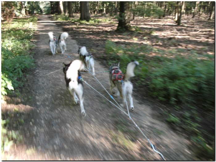 Tour Odenwald 048.jpg